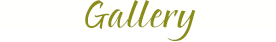 Gallery Menu